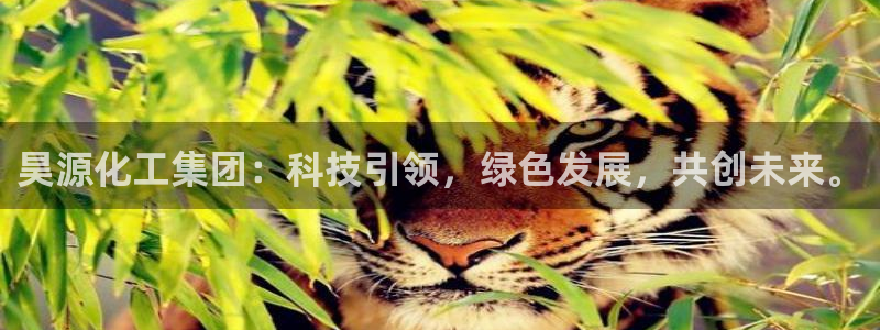 千亿球盟会：昊源化工集团：科技引领，绿色发展，共创未来。