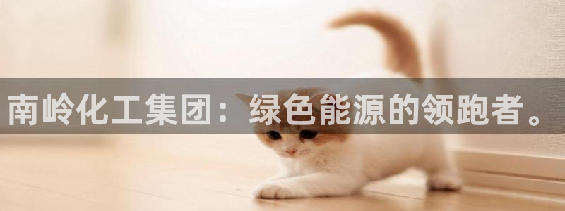 球盟会app最新地址下载安装：南岭化工集团：绿色能源的领跑者