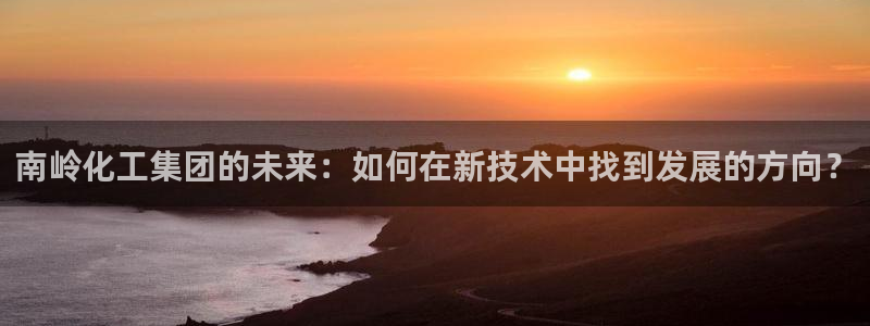 球盟会优惠券：南岭化工集团的未来：如何在新技术中找到发展的方