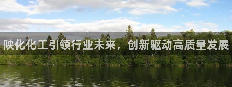 球盟会有没有黑单的人：陕化化工引领行业未来，创新驱动高质量发