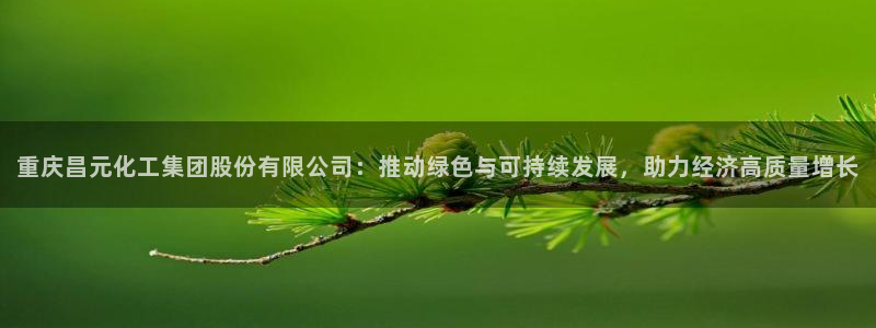 球盟会官方app首页入口：重庆昌元化工集团股份有限公司：推动