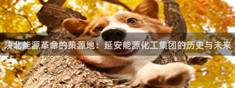 球盟会qm8597：陕北能源革命的策源地：延安能源化工集团的