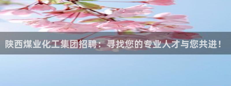 球盟会黑台：陕西煤业化工集团招聘：寻找您的专业人才与您共进！