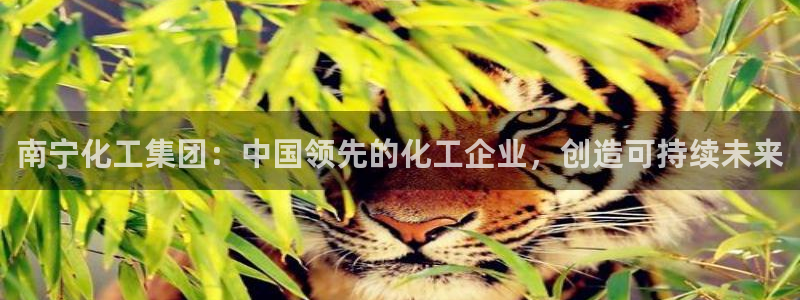 球盟会可以提现么是真的吗：南宁化工集团：
