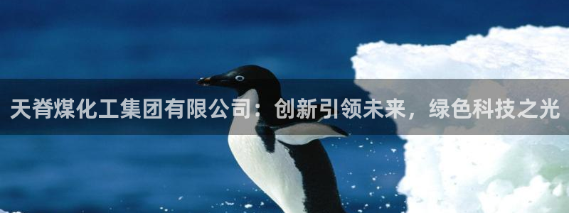 球盟会优惠领取网站：天脊煤化工集团有限公司：创新引领未来，绿