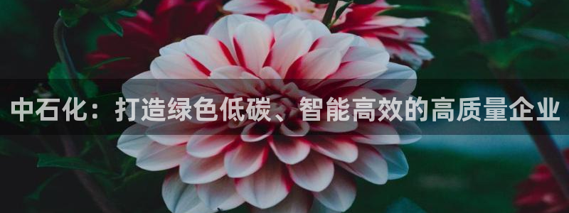 球盟会黑：中石化：打造绿色低碳、智能高效