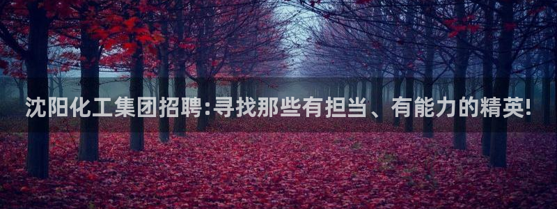 球盟会官方入口：沈阳化工集团招聘:寻找那些有担当、有能力的精