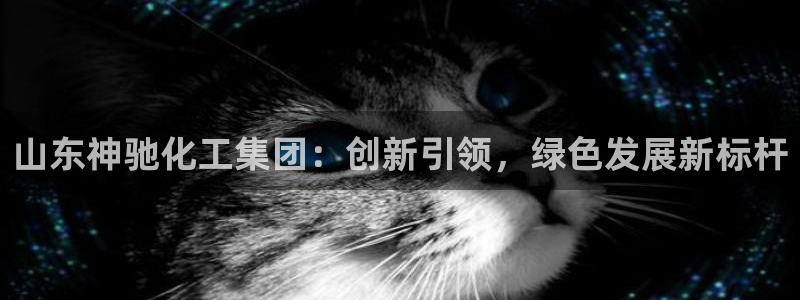 球盟会连接：山东神驰化工集团：创新引领，绿色发展新标杆