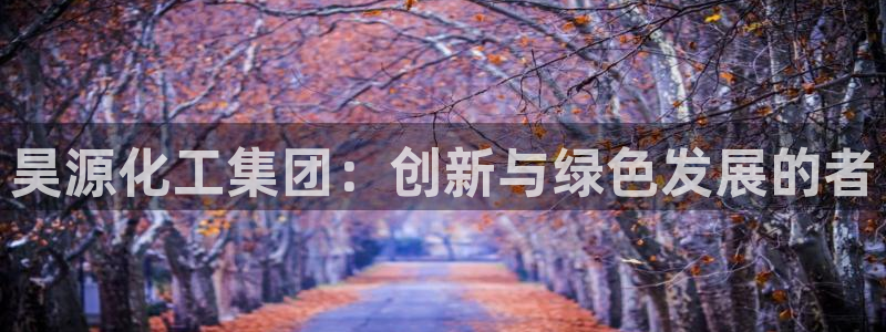 球盟会官方版下载地址：昊源化工集团：创新与绿色发展的者