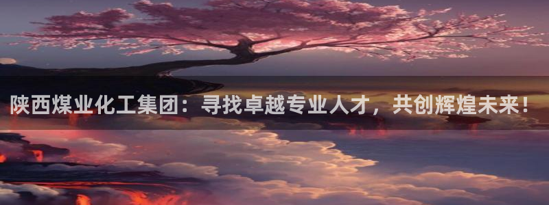 球盟会登陆中心