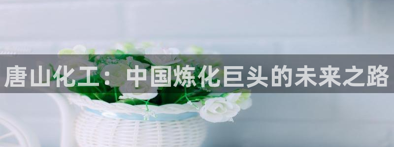 球盟会最新活动