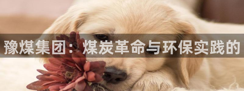 球盟会电子好黑