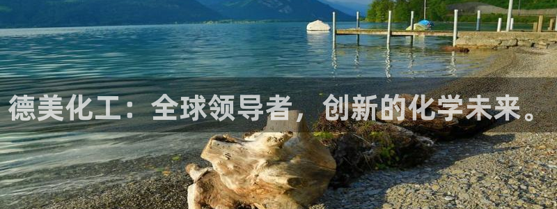 球盟会qmh电子网页版登录：德美化工：全球领导者，创新的化学
