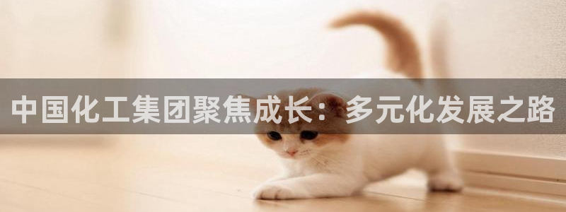 球盟会在线网站：中国化工集团聚焦成长：多