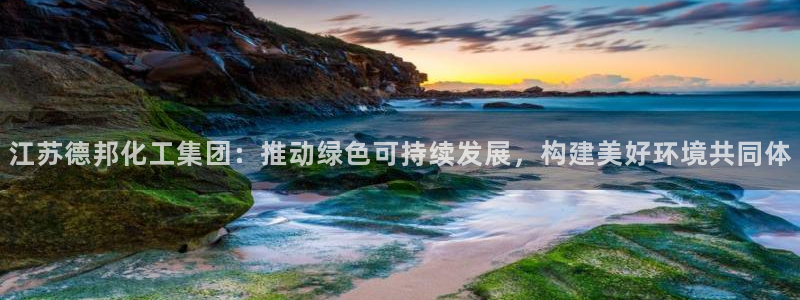 球盟会黑台子吗：江苏德邦化工集团：推动绿