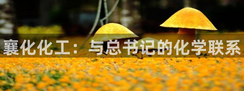 球盟会官方平台入口：襄化化工：与总书记的化学联系
