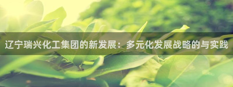 球盟会APP官网：辽宁瑞兴化工集团的新发展：多元化发展战略的