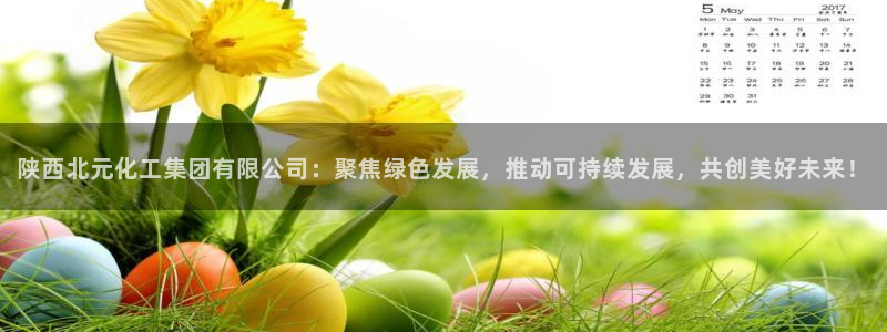 球盟会黑款吗是真的吗：陕西北元化工集团有限公司：聚焦绿色发展