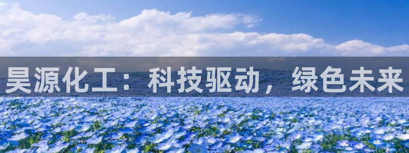 球盟会app最新地址在哪找：昊源化工：科技驱动，绿色未来