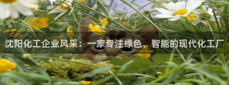 球盟会下载最新版：沈阳化工企业风采：一家专注绿色、智能的现代