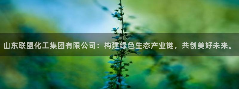球盟会登陆中心：山东联盟化工集团有限公司：构建绿色生态产业链
