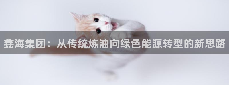 球盟会黑台子吗