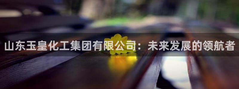 球盟会封禁