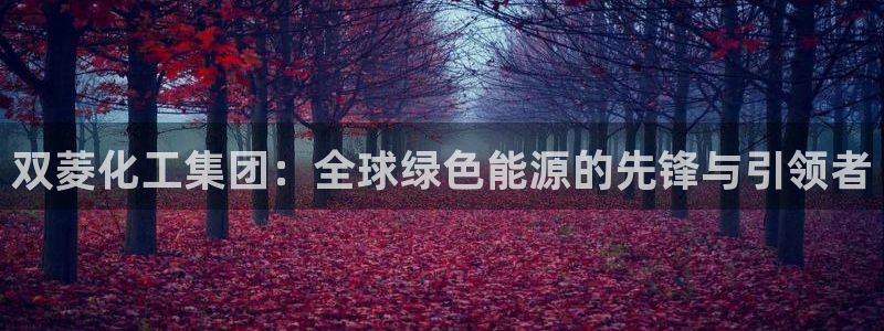 球盟会可以提现么