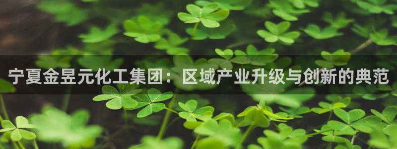 球盟会app网址多少