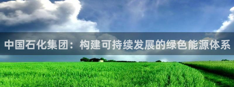 球盟会网址多少：中国石化集团：构建可持续