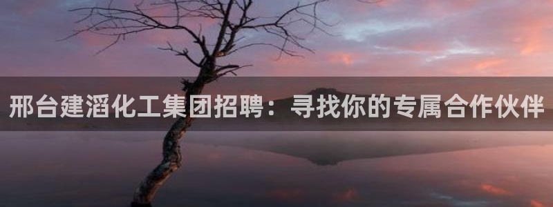 球盟会app最新地址下载：邢台建滔化工集