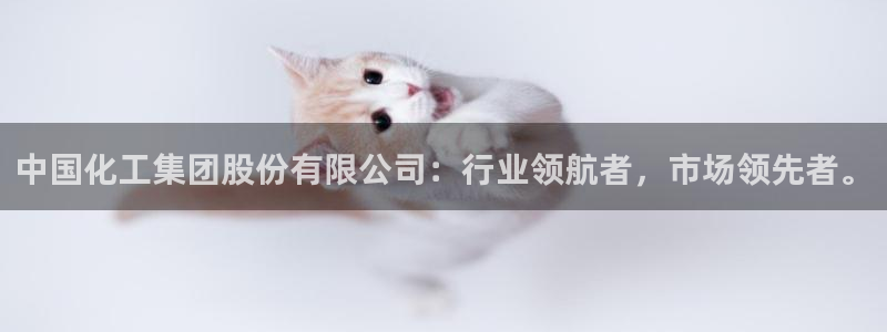 球盟会几点玩合适：中国化工集团股份有限公司：行业领航者，市场