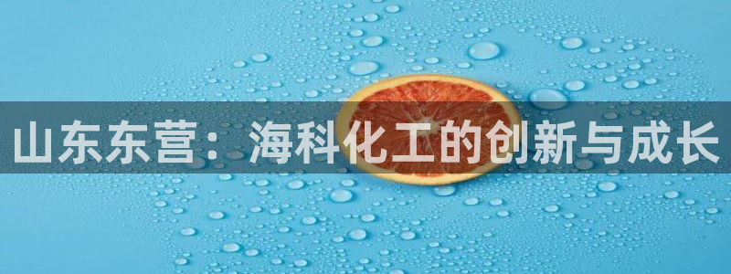 球盟会可靠不