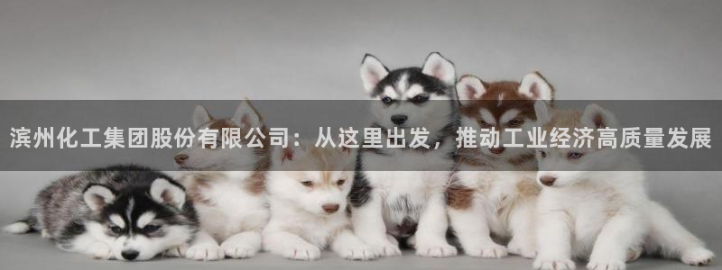 球盟会qm9