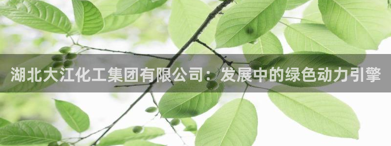 球盟会APP最新地址