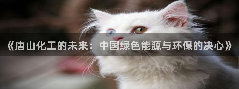 球盟会提款支付宝怎么样：《唐山化工的未来