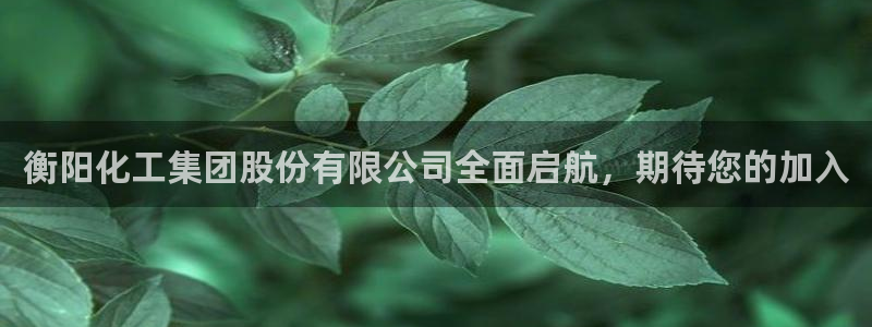 球盟会头号玩家是谁：衡阳化工集团股份有限
