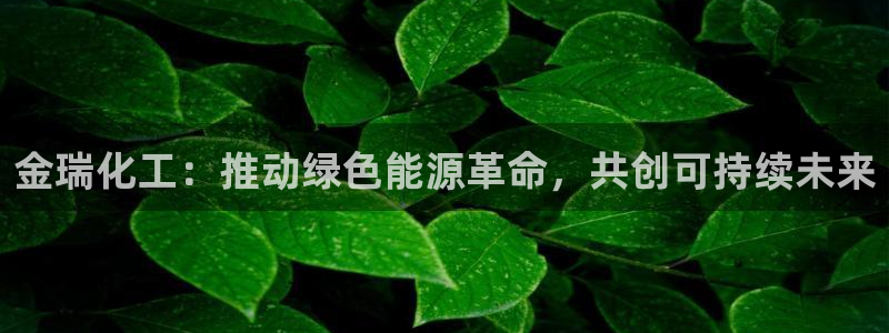 球盟会官方网页登录：金瑞化工：推动绿色能源革命，共创可持续未