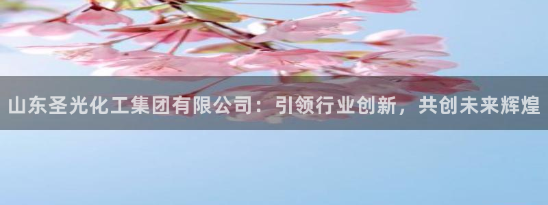 球盟会官方最新入口：山东圣光化工集团有限