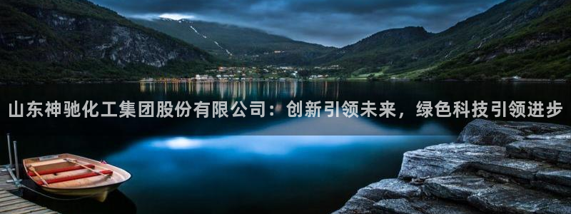 球盟会优惠券：山东神驰化工集团股份有限公