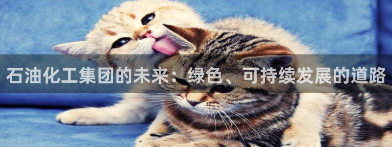 球盟会有没有黑单的人：石油化工集团的未来：绿色、可持续发展的