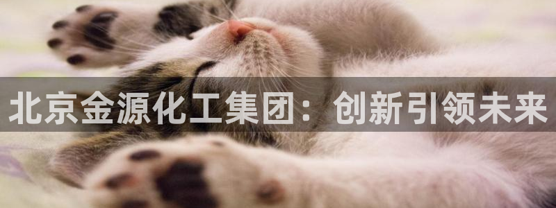 球盟会出款黑了：北京金源化工集团：创新引领未来