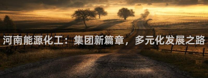 球盟会优惠领取网站：河南能源化工：集团新篇章，多元化发展之路