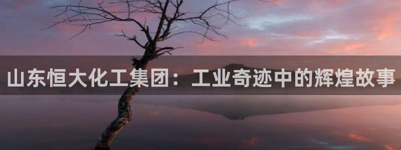 球盟会官方入口：山东恒大化工集团：工业奇迹中的辉煌故事