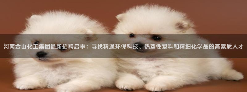 球盟会优惠领取网站是真的吗：河南金山化工集团最新招聘启事：寻