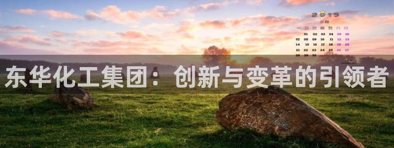 球盟会官方登录平台：东华化工集团：创新与变革的引领者