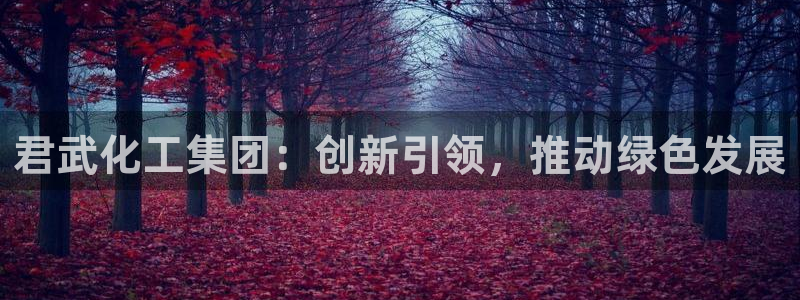 球盟会唯一：君武化工集团：创新引领，推动绿色发展