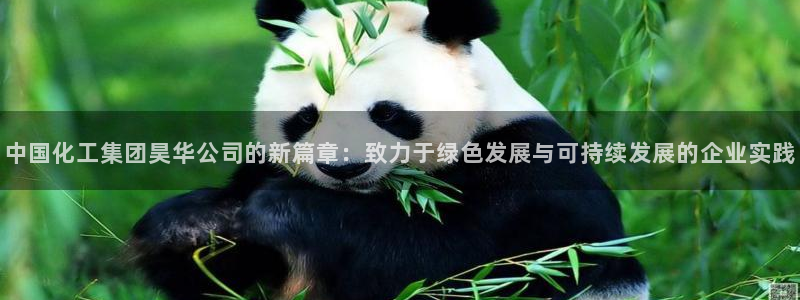 球盟会官方最新入口：中国化工集团昊华公司的新篇章：致力于绿色