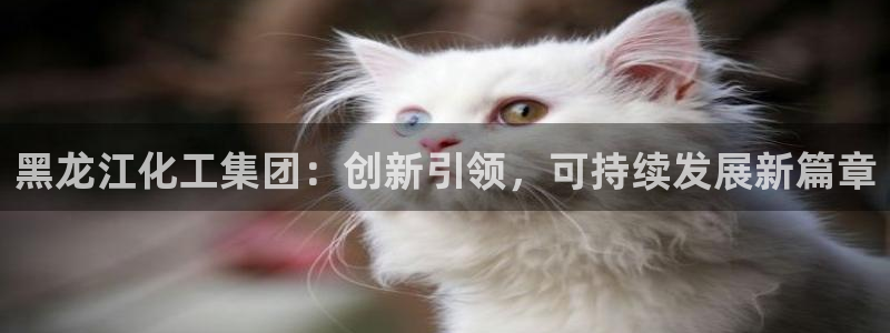 球盟会官方网入口：黑龙江化工集团：创新引领，可持续发展新篇章