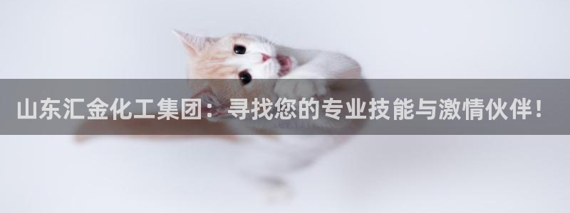 球盟会邮箱：山东汇金化工集团：寻找您的专业技能与激情伙伴！